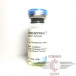 TESTOSTERONE P ( 10ML 100MG/1ML ) - BAYER